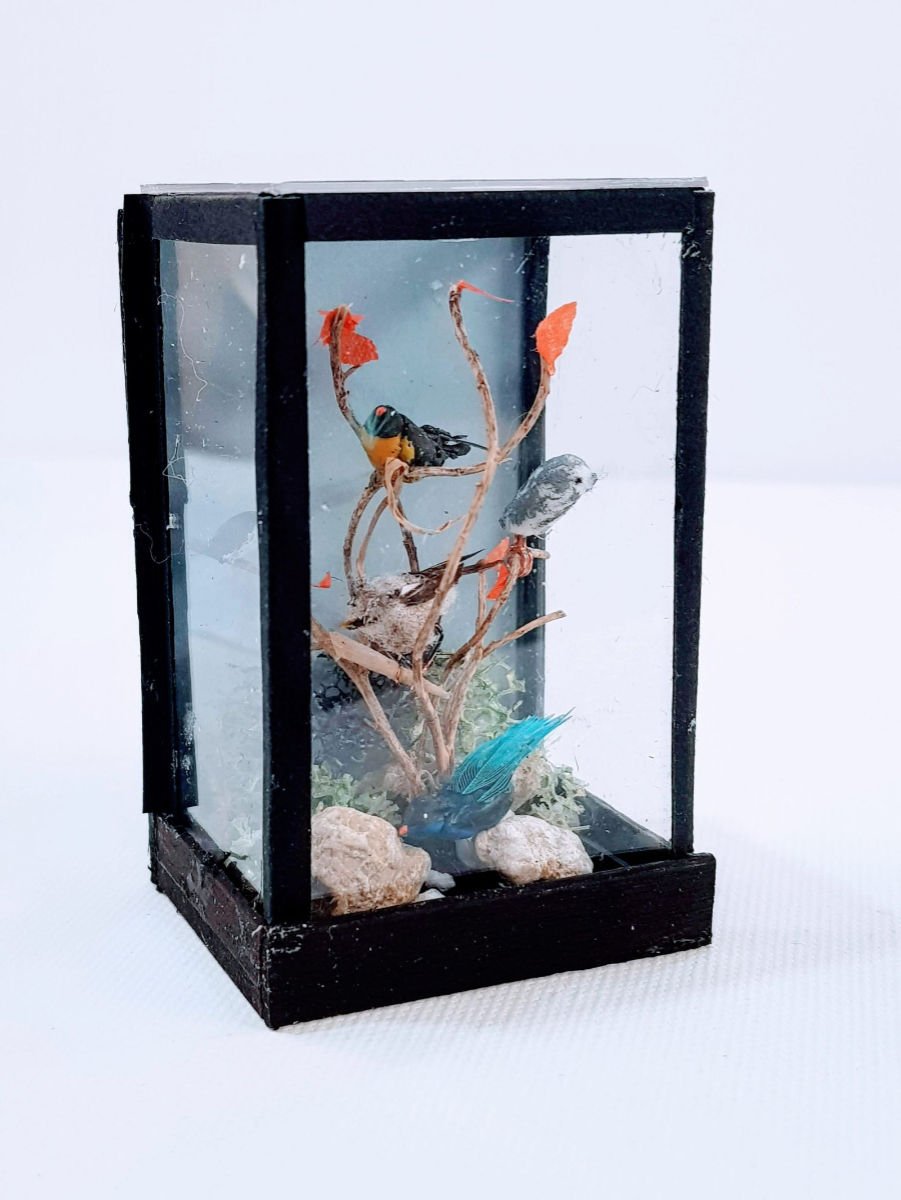 Victorian Bird Cabinet
